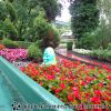 DSC01373