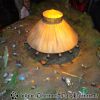DSC01391