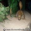DSC01418