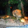 DSC01420
