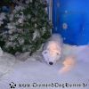DSC01463