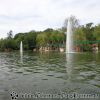 DSC01520