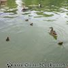 DSC01522