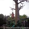 DSC01526