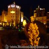 DSC01567