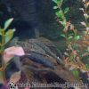 DSC01840