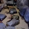 DSC01850