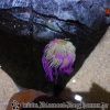 DSC01851