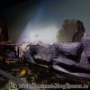 DSC01853