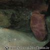 DSC01858