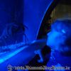 DSC01871