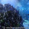 DSC01882