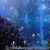 DSC01883
