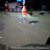 DSC01886