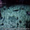 DSC01894