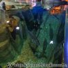 DSC01900