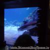 DSC01911