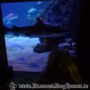 DSC01912