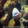 DSC01916