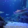 DSC01920