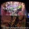 DSC01937