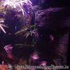 DSC01938
