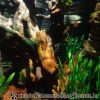 DSC01939