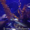 DSC01950
