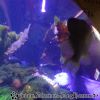 DSC01955