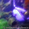 DSC01957