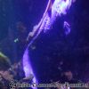DSC01959