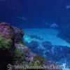DSC01965