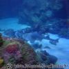 DSC01968