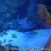 DSC01970
