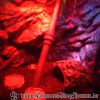 DSC01981