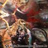 DSC01988