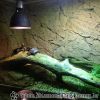 DSC01991