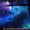 DSC02006