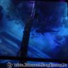 DSC02007