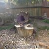 DSC02034