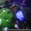 DSC02038