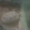 DSC02123