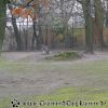 DSC02153