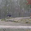 DSC02160