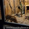 DSC02167