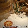 DSC02179