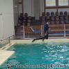 DSC02191