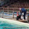 DSC02193