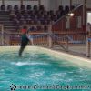 DSC02204