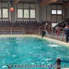 DSC02256
